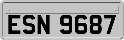 ESN9687