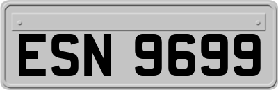ESN9699