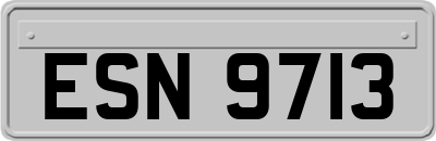 ESN9713