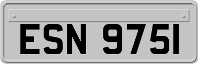 ESN9751