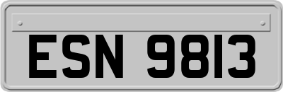 ESN9813