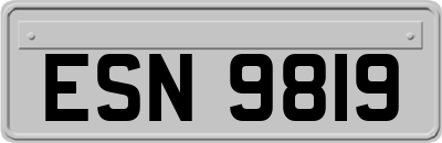 ESN9819
