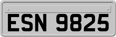 ESN9825