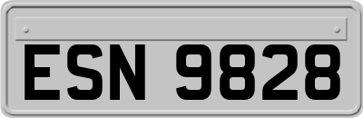 ESN9828