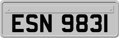 ESN9831