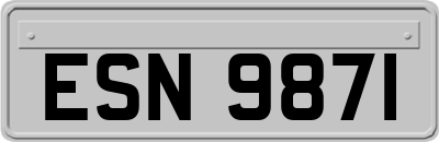 ESN9871