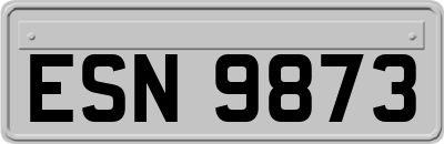 ESN9873