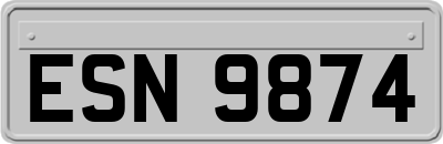 ESN9874