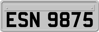 ESN9875