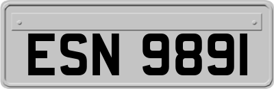 ESN9891