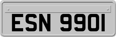 ESN9901