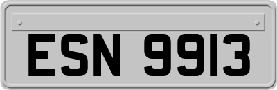 ESN9913