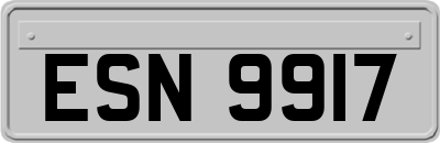 ESN9917
