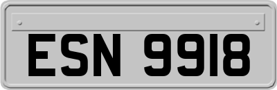 ESN9918