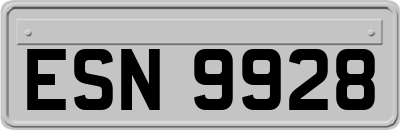 ESN9928