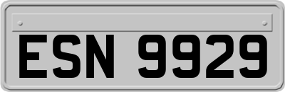 ESN9929