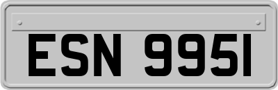 ESN9951