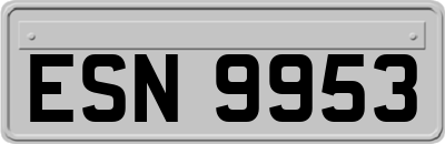 ESN9953