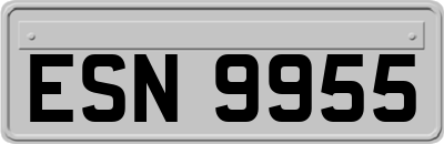 ESN9955