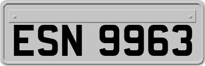 ESN9963