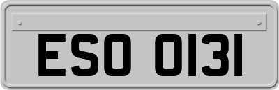 ESO0131