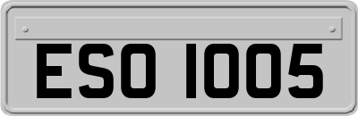 ESO1005