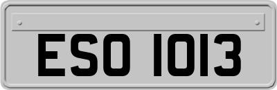 ESO1013