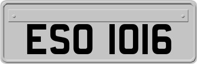 ESO1016