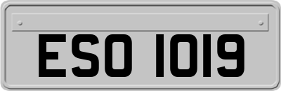 ESO1019