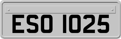 ESO1025