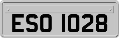 ESO1028