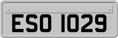 ESO1029
