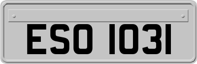 ESO1031