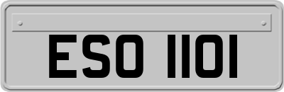 ESO1101