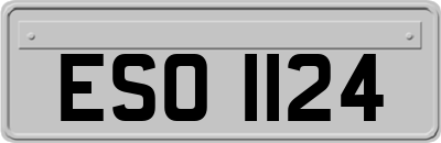 ESO1124