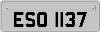 ESO1137