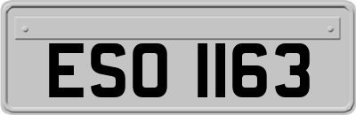 ESO1163