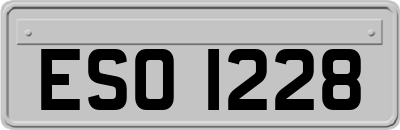 ESO1228