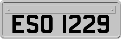 ESO1229