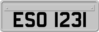 ESO1231