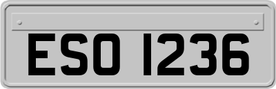ESO1236