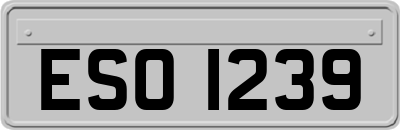 ESO1239