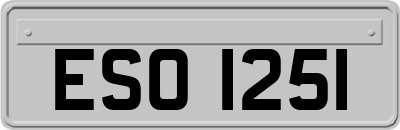 ESO1251