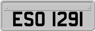 ESO1291