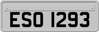 ESO1293