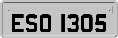 ESO1305