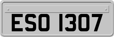 ESO1307