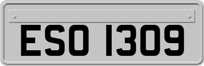 ESO1309