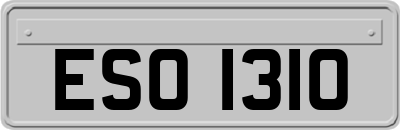ESO1310