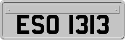ESO1313